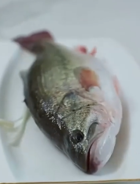 Pembalasan Sang Putri Angkat